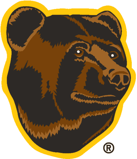 N.H.L. teams Boston Bruins alternate logo circa 1995-96 2006-07 nhl seasons