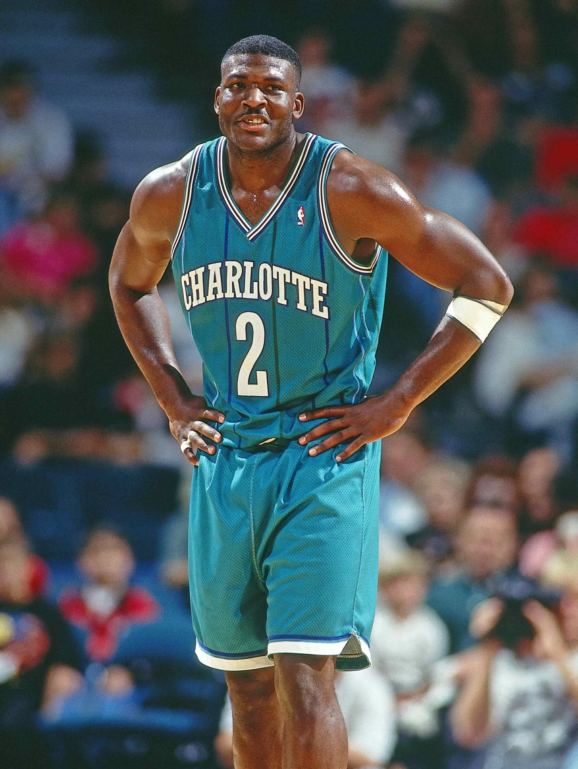 Larry Johnson N.B.A. Charlotte Hornets